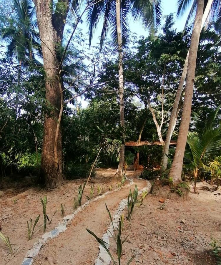 Jungle Tent 3X3, Latino Glamping & Tours, Paquera Luaran gambar