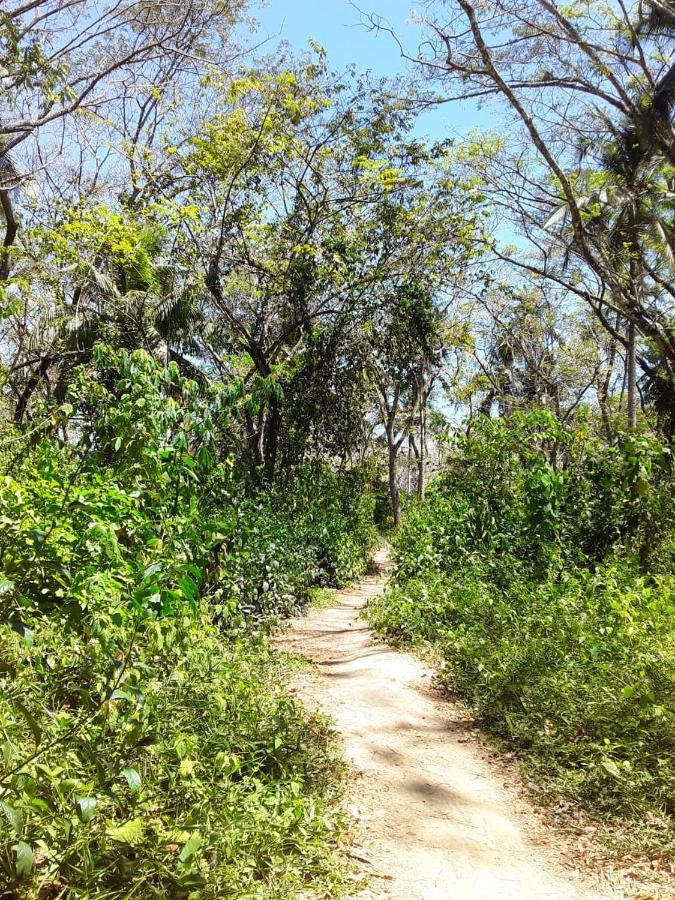 Jungle Tent 3X3, Latino Glamping & Tours, Paquera Luaran gambar