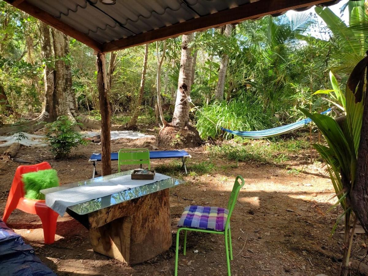 Jungle Tent 3X3, Latino Glamping & Tours, Paquera Luaran gambar