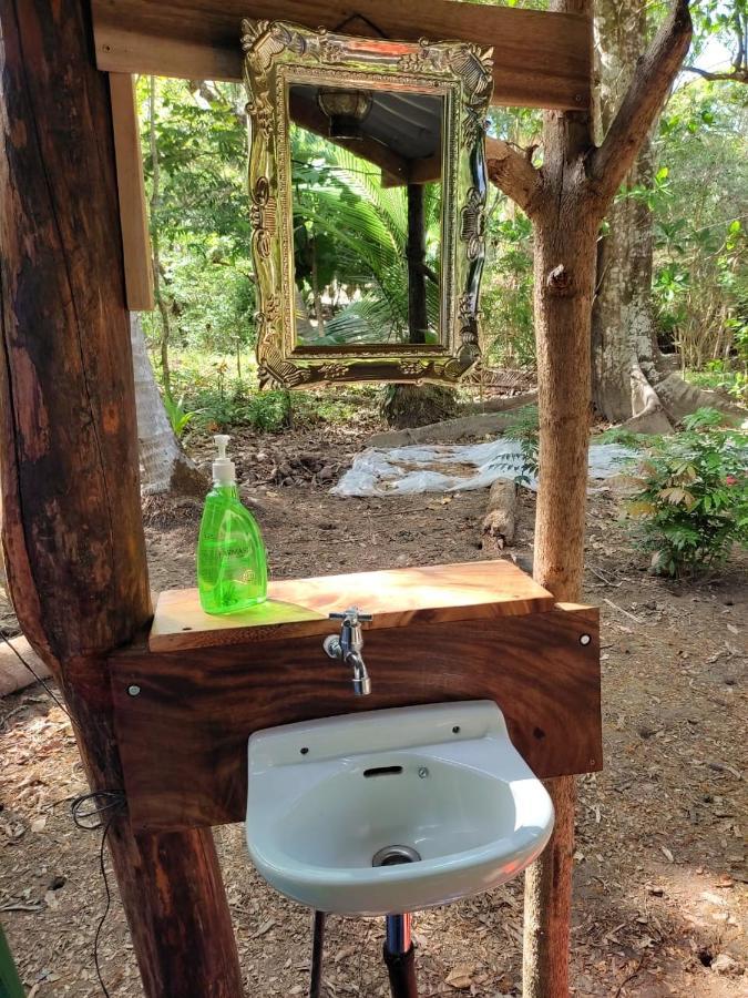 Jungle Tent 3X3, Latino Glamping & Tours, Paquera Luaran gambar