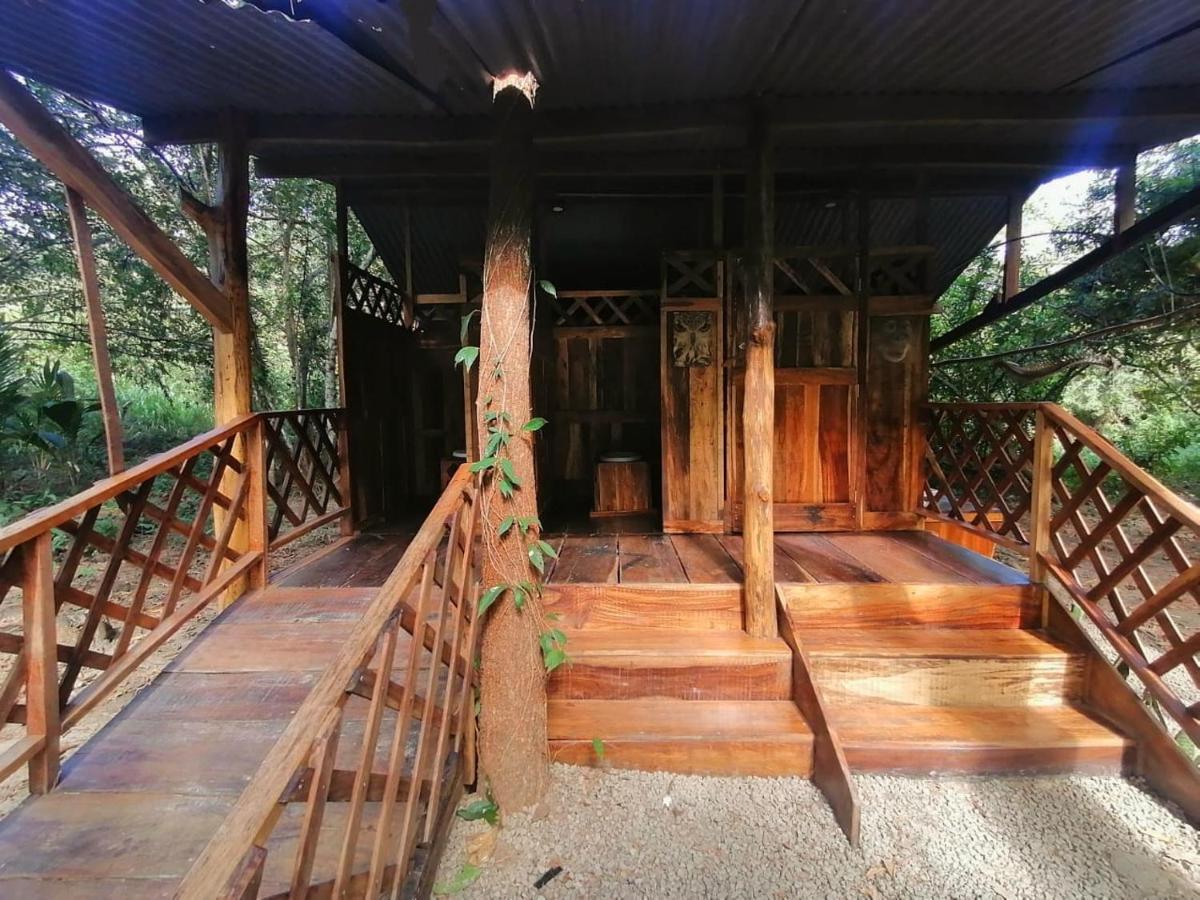 Jungle Tent 3X3, Latino Glamping & Tours, Paquera Luaran gambar