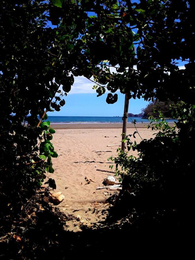 Jungle Tent 3X3, Latino Glamping & Tours, Paquera Luaran gambar