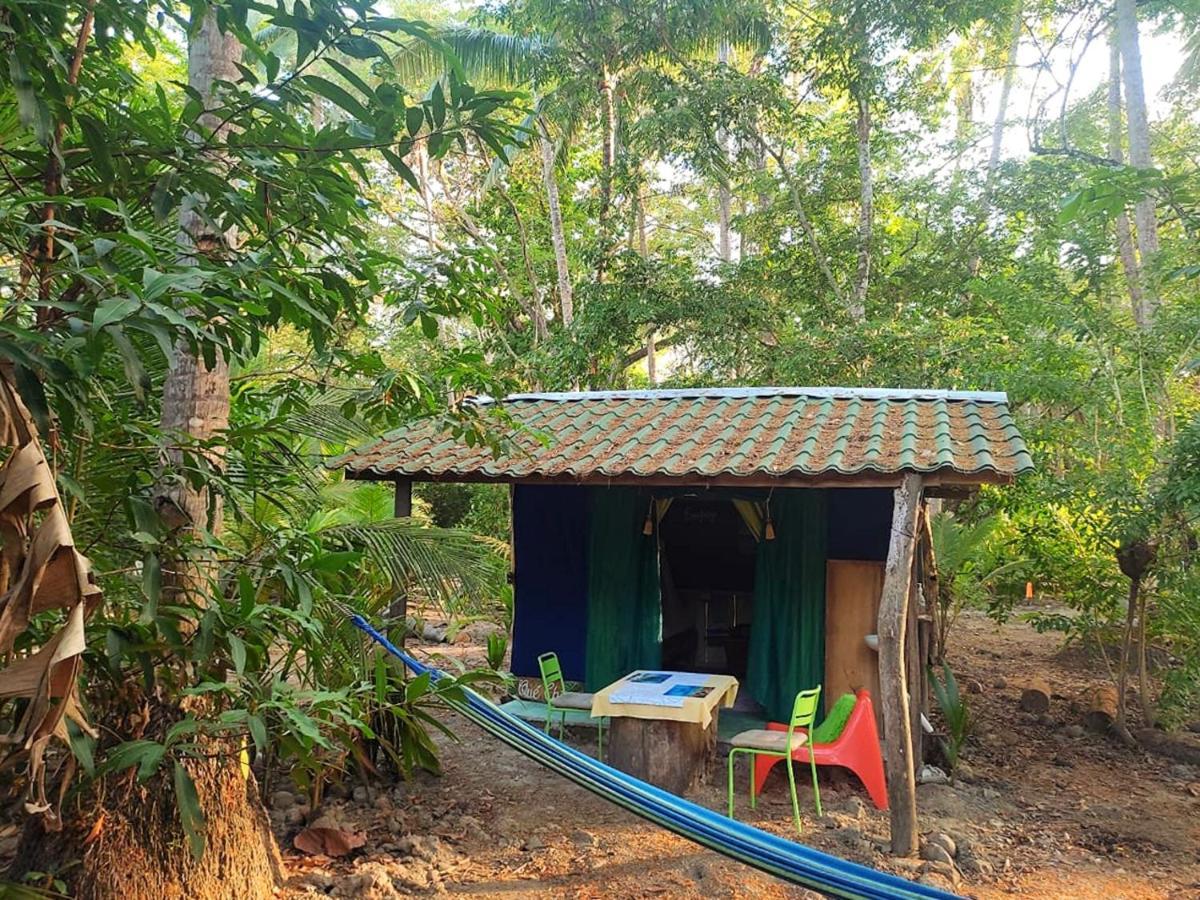 Jungle Tent 3X3, Latino Glamping & Tours, Paquera Luaran gambar