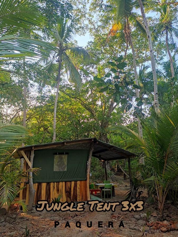 Jungle Tent 3X3, Latino Glamping & Tours, Paquera Luaran gambar