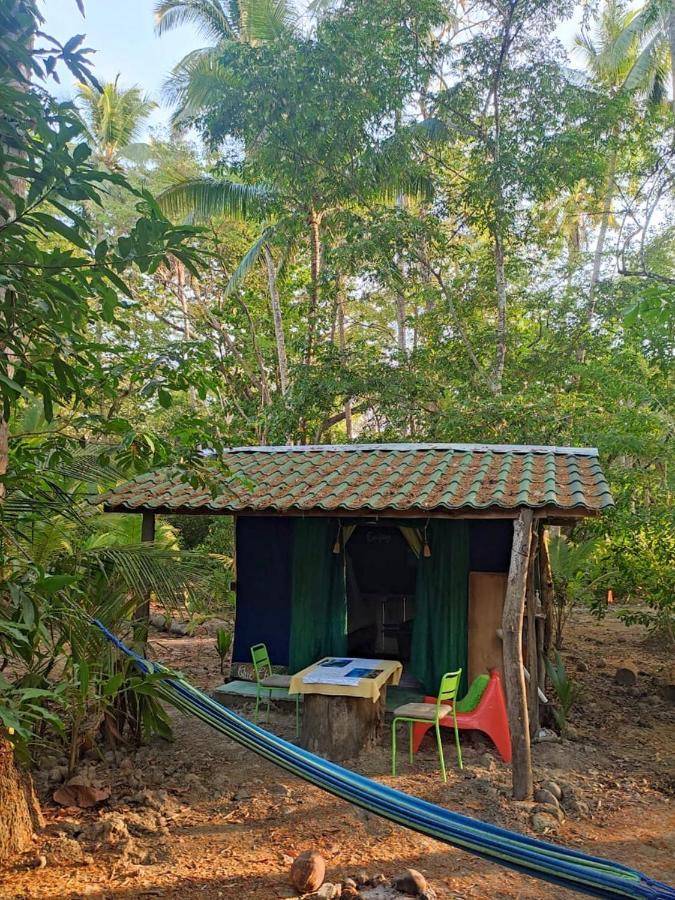 Jungle Tent 3X3, Latino Glamping & Tours, Paquera Luaran gambar