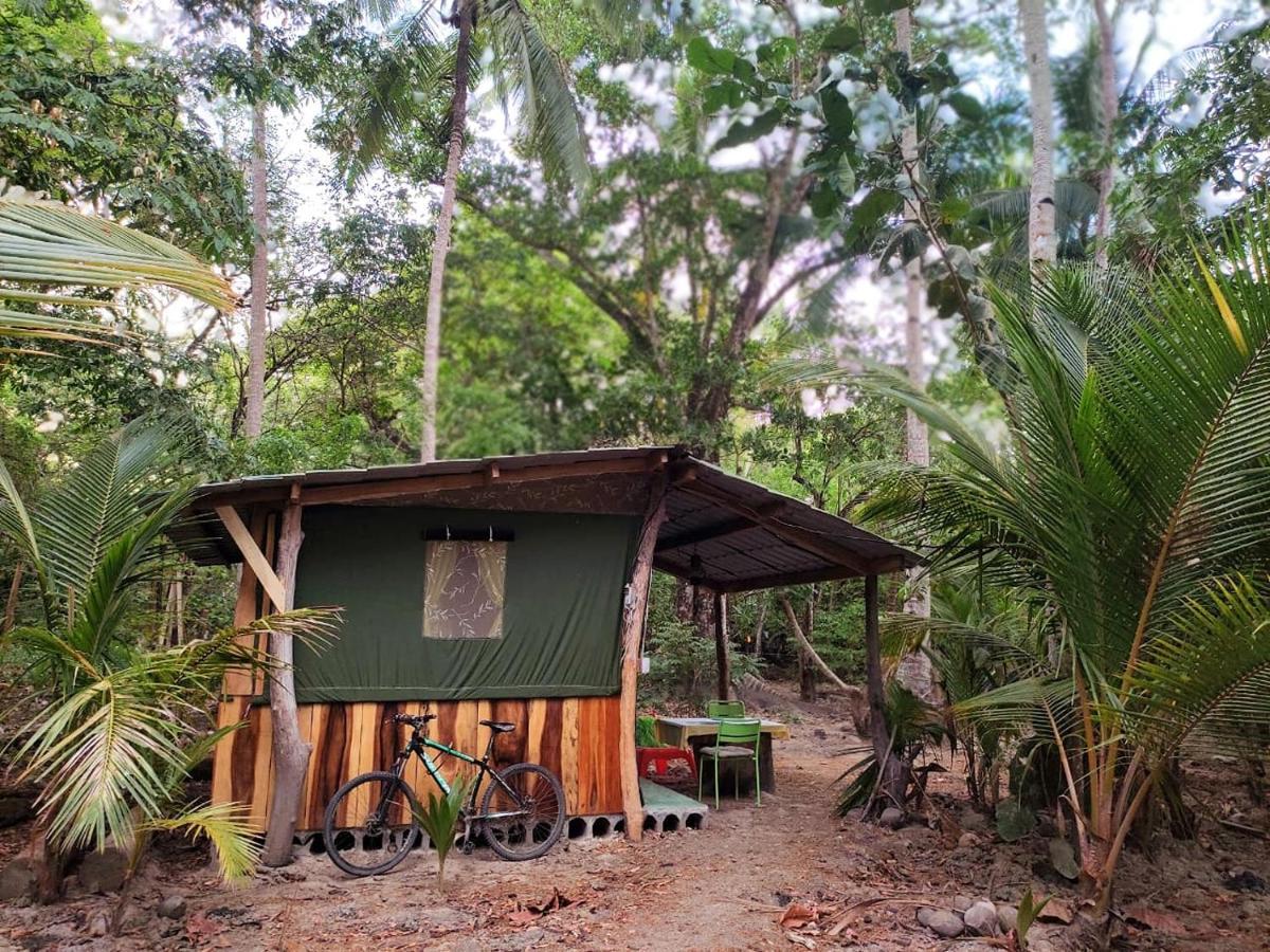 Jungle Tent 3X3, Latino Glamping & Tours, Paquera Luaran gambar