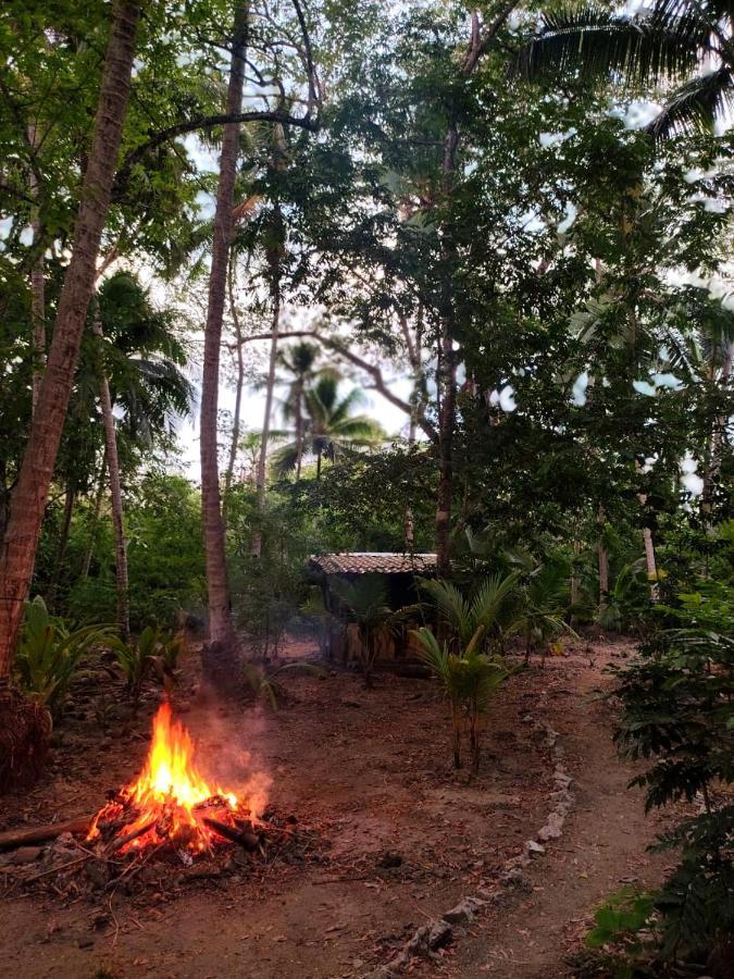 Jungle Tent 3X3, Latino Glamping & Tours, Paquera Luaran gambar