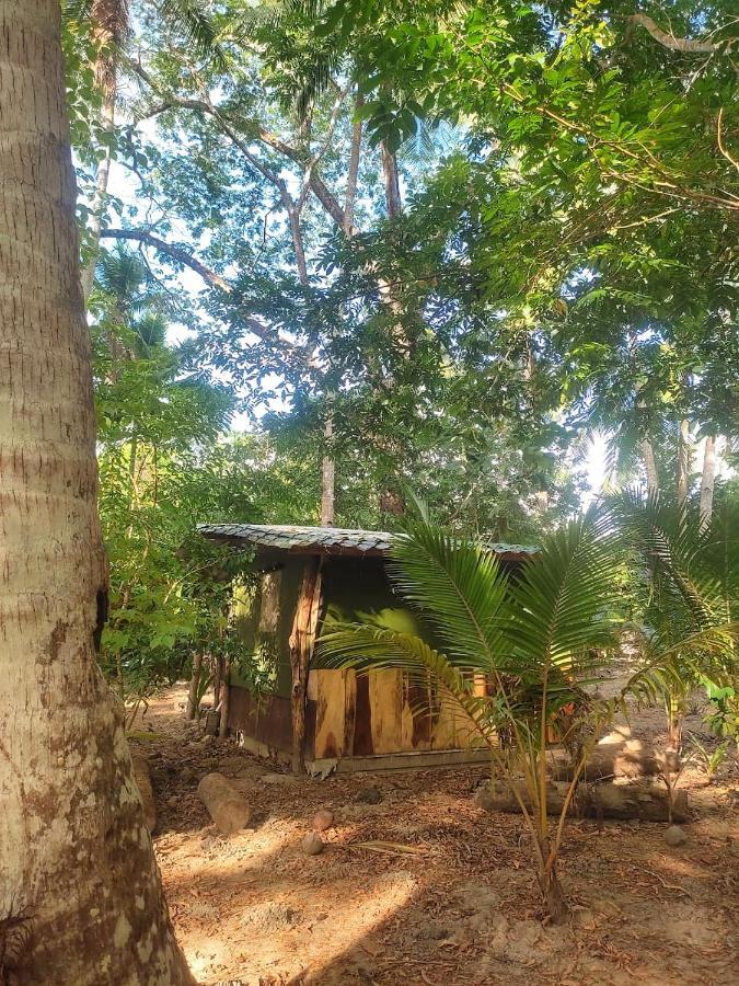 Jungle Tent 3X3, Latino Glamping & Tours, Paquera Luaran gambar