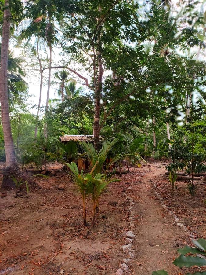 Jungle Tent 3X3, Latino Glamping & Tours, Paquera Luaran gambar