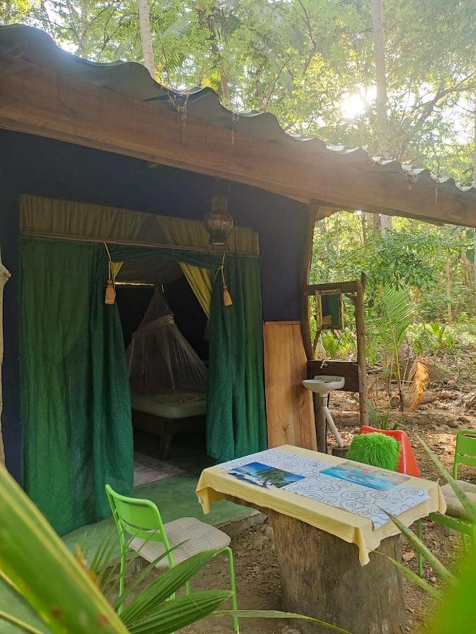 Jungle Tent 3X3, Latino Glamping & Tours, Paquera Luaran gambar
