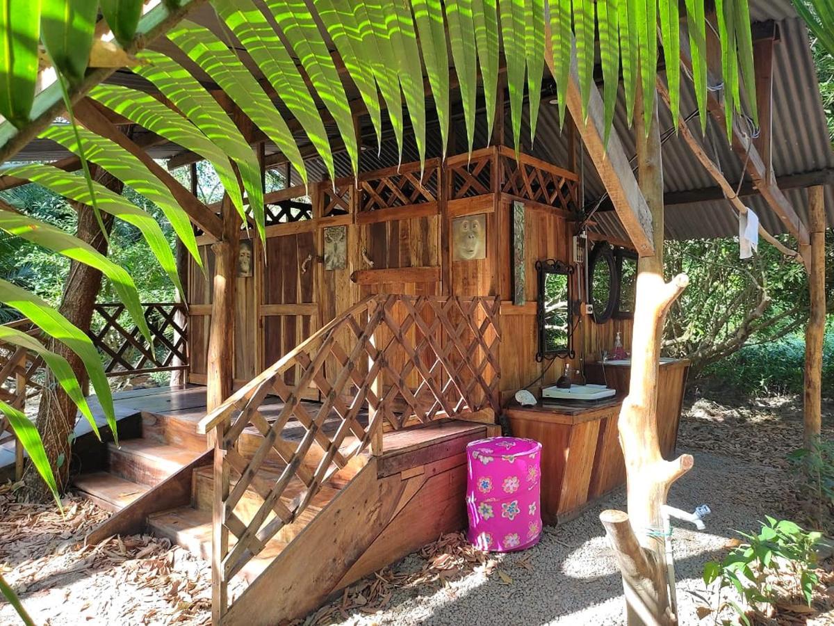 Jungle Tent 3X3, Latino Glamping & Tours, Paquera Luaran gambar