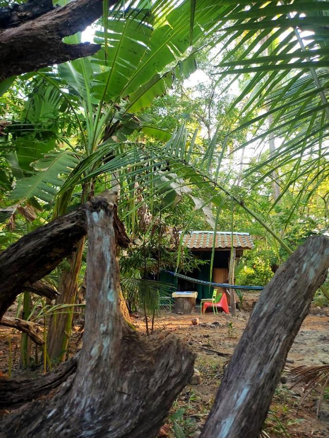 Jungle Tent 3X3, Latino Glamping & Tours, Paquera Luaran gambar